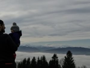 Maca, una poderosa raíz con propiedades sorprendentes